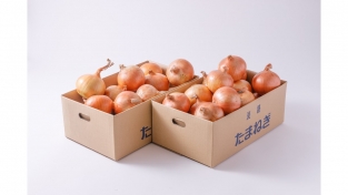 【6月収穫予定】淡路島の中晩生玉ねぎ5kg×2セット(送料無料)