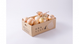【特選】熟成サラダ玉ねぎ「熟れっ玉」5kg(送料無料)