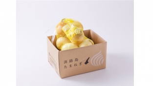 【特選】熟成サラダ玉ねぎ「熟れっ玉」2kg(送料無料)
