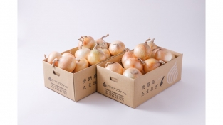 【特選】熟成サラダ玉ねぎ「熟れっ玉」5kg×2 計10kgセット(送料無料)