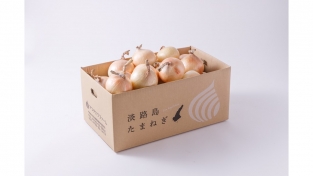 【特選】熟成サラダ玉ねぎ「熟れっ玉」10kg(送料無料)