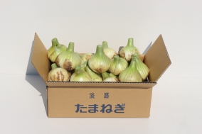 淡路島春の新玉ねぎ 5kg×2箱 計10㎏セット(送料無料)