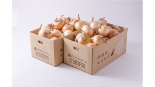 【特選】熟成サラダ玉ねぎ「熟れっ玉」10kg×2セット 計20kgセット(送料無料)