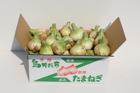 淡路島春の新玉ねぎ 10kg(送料無料)